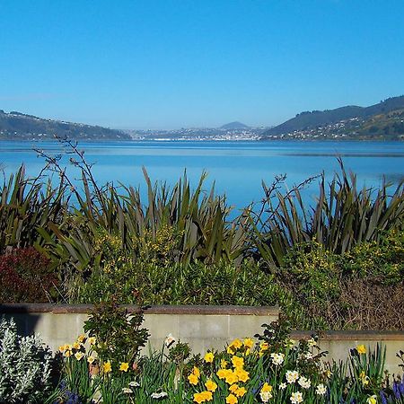 Apartmán Arts Content Harbour View Macandrew Bay Exteriér fotografie