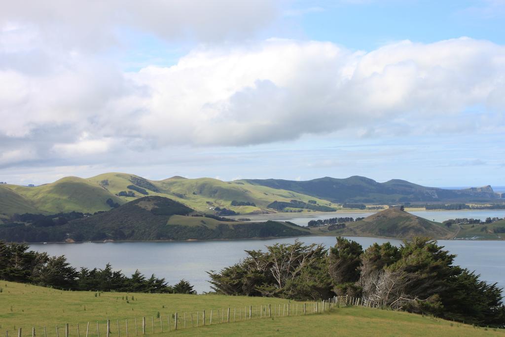 Apartmán Arts Content Harbour View Macandrew Bay Exteriér fotografie