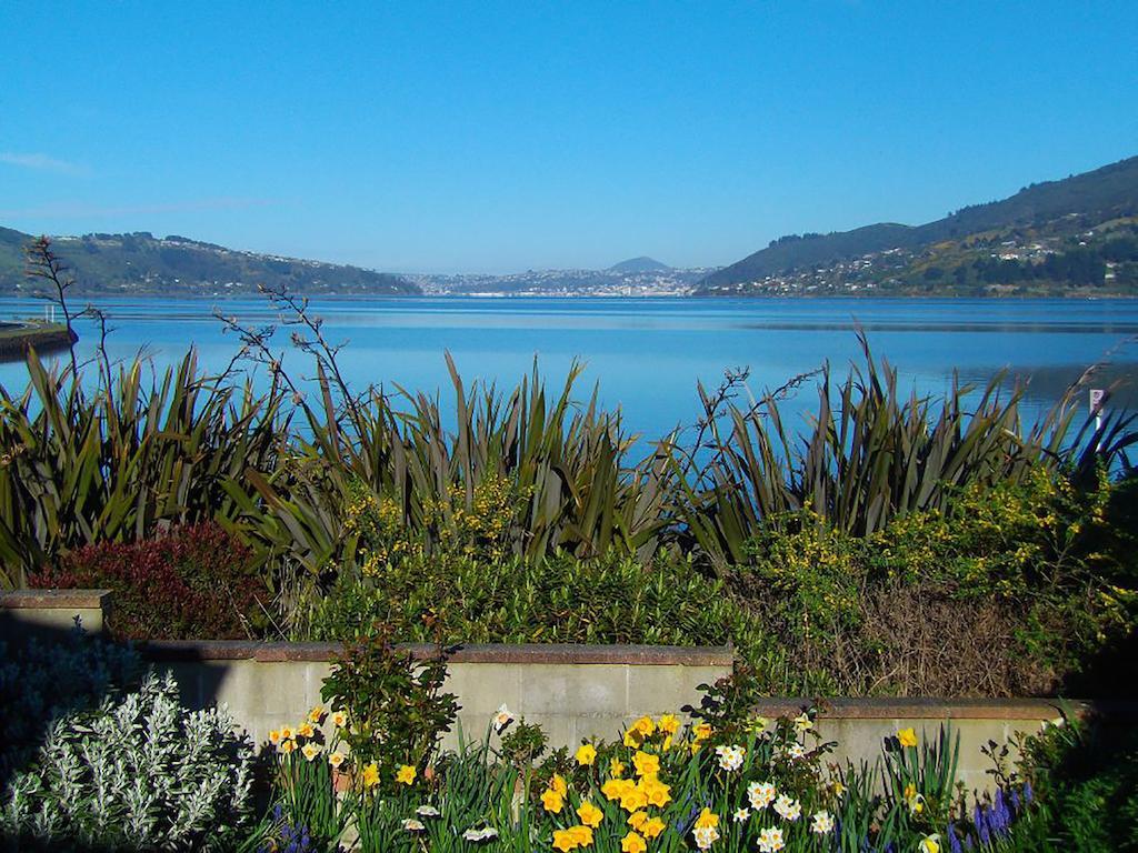 Apartmán Arts Content Harbour View Macandrew Bay Exteriér fotografie