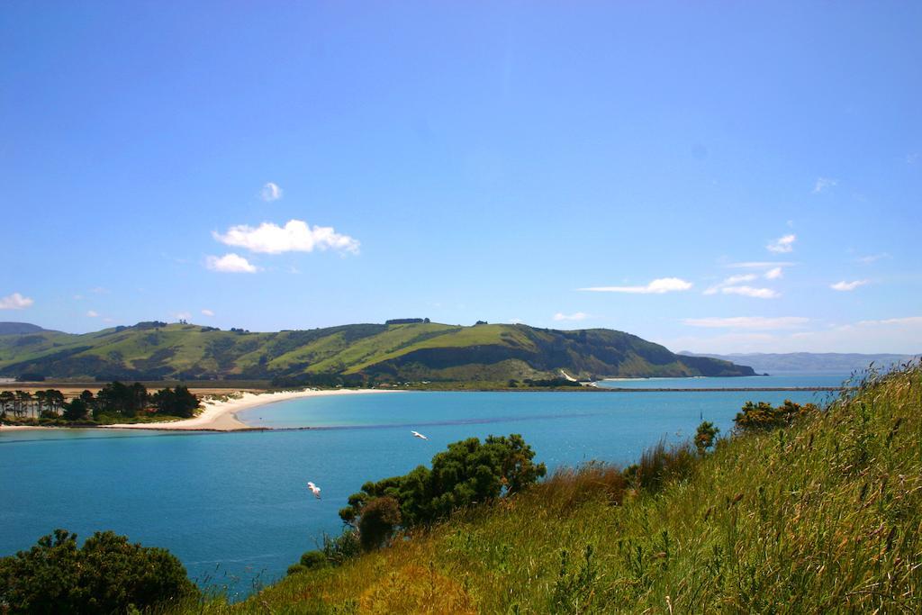 Apartmán Arts Content Harbour View Macandrew Bay Exteriér fotografie