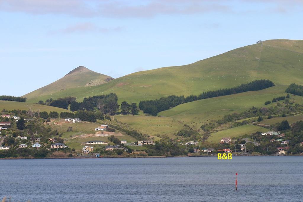 Apartmán Arts Content Harbour View Macandrew Bay Exteriér fotografie