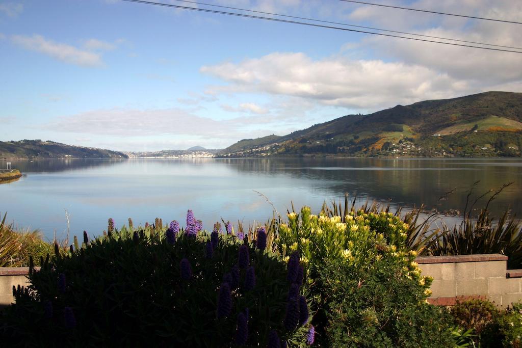 Apartmán Arts Content Harbour View Macandrew Bay Exteriér fotografie